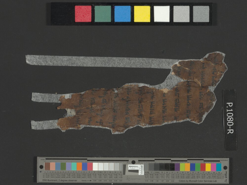 4QNumbers^b (4QNum^b) (Scan 4) showing Numbers 13:24 from Late 1st Century BC – Early 1st Century AD found in Qumran, Cave 4, currently housed at Rockefeller Museum, Jerusalem