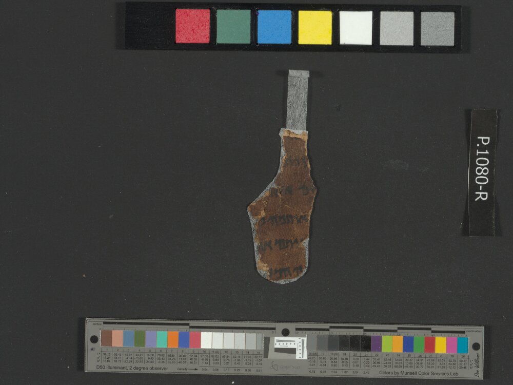 4QNumbers^b (4QNum^b) (Scan 5) showing Numbers 13:24 from Late 1st Century BC – Early 1st Century AD found in Qumran, Cave 4, currently housed at Rockefeller Museum, Jerusalem