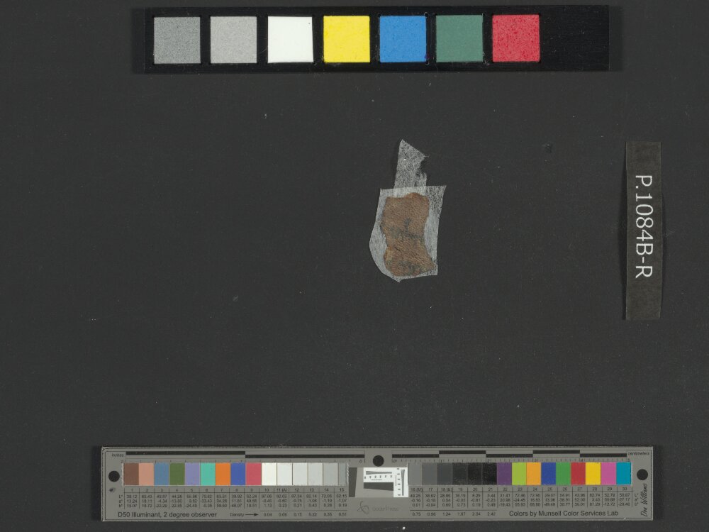 4QNumbers^b (4QNum^b) (Scan 1) showing Numbers 27:4 from Late 1st Century BC – Early 1st Century AD found in Qumran, Cave 4, currently housed at Rockefeller Museum, Jerusalem