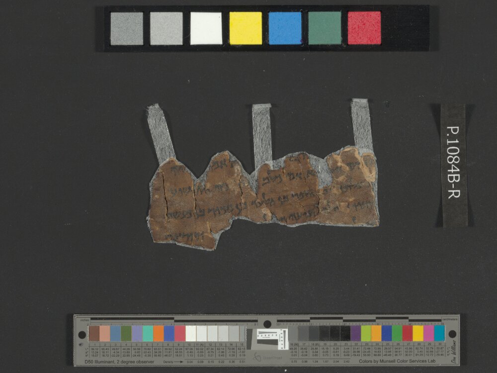 4QNumbers^b (4QNum^b) (Scan 2) showing Numbers 27:4 from Late 1st Century BC – Early 1st Century AD found in Qumran, Cave 4, currently housed at Rockefeller Museum, Jerusalem