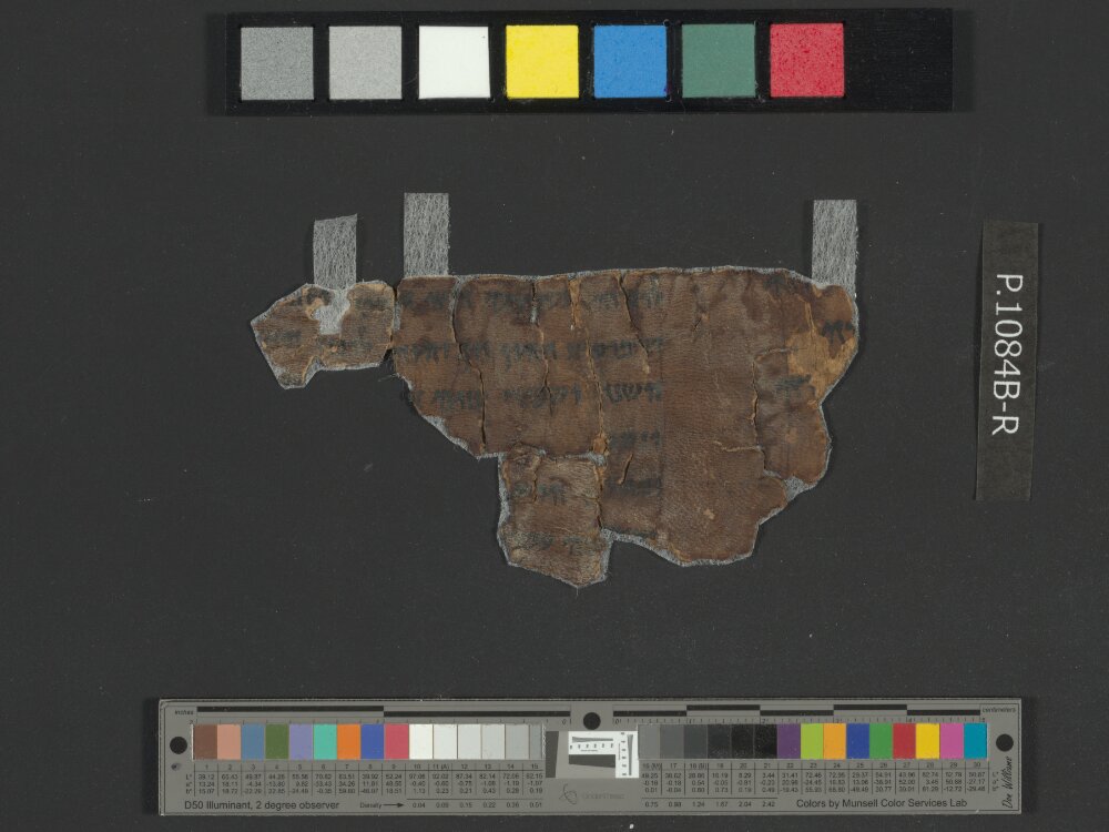 4QNumbers^b (4QNum^b) (Scan 3) showing Numbers 27:4 from Late 1st Century BC – Early 1st Century AD found in Qumran, Cave 4, currently housed at Rockefeller Museum, Jerusalem