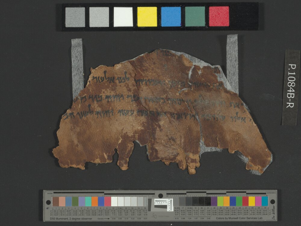 4QNumbers^b (4QNum^b) (Scan 4) showing Numbers 27:4 from Late 1st Century BC – Early 1st Century AD found in Qumran, Cave 4, currently housed at Rockefeller Museum, Jerusalem