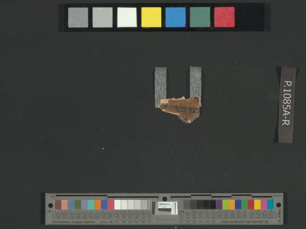 4QNumbers^b (4QNum^b) (Scan 1) showing Numbers 29:21 from Late 1st Century BC – Early 1st Century AD found in Qumran, Cave 4, currently housed at Rockefeller Museum, Jerusalem
