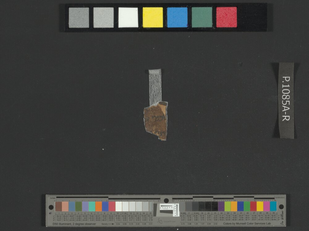 4QNumbers^b (4QNum^b) (Scan 2) showing Numbers 29:21 from Late 1st Century BC – Early 1st Century AD found in Qumran, Cave 4, currently housed at Rockefeller Museum, Jerusalem