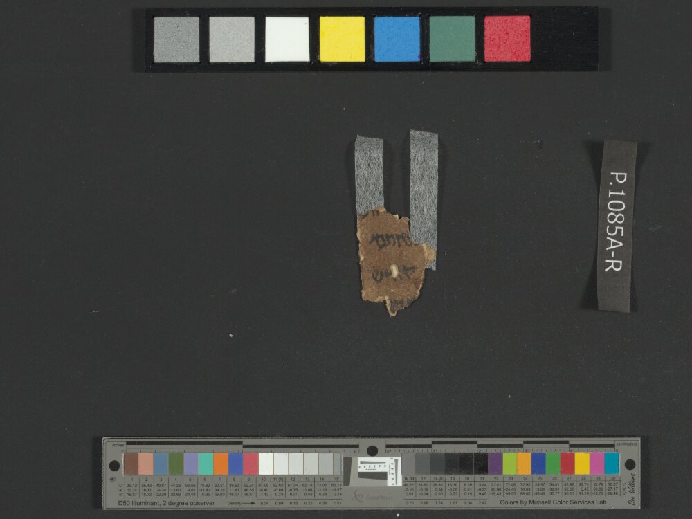 4QNumbers^b (4QNum^b) (Scan 3) showing Numbers 29:21 from Late 1st Century BC – Early 1st Century AD found in Qumran, Cave 4, currently housed at Rockefeller Museum, Jerusalem