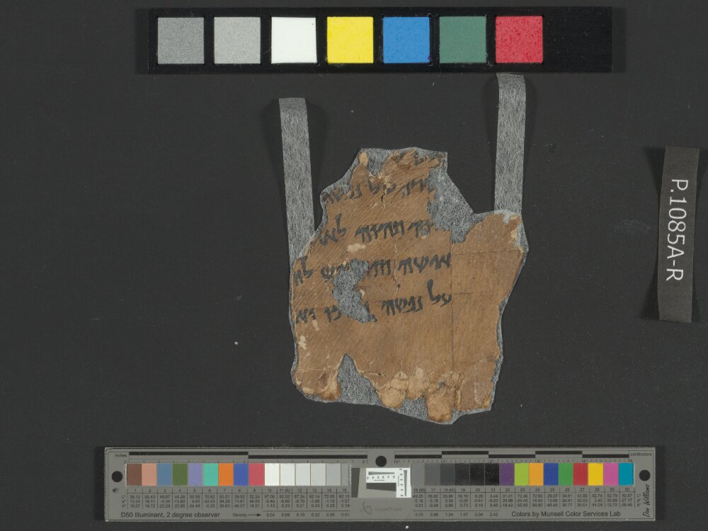 4QNumbers^b (4QNum^b) (Scan 1) showing Numbers 30:7 from Late 1st Century BC – Early 1st Century AD found in Qumran, Cave 4, currently housed at Rockefeller Museum, Jerusalem