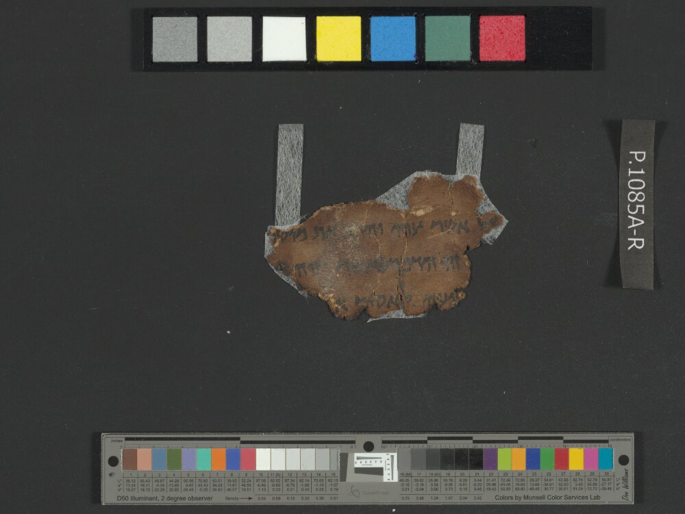 4QNumbers^b (4QNum^b) (Scan 2) showing Numbers 30:7 from Late 1st Century BC – Early 1st Century AD found in Qumran, Cave 4, currently housed at Rockefeller Museum, Jerusalem
