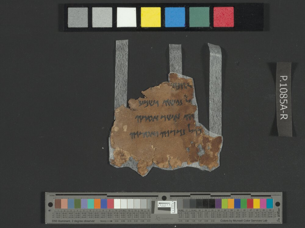 4QNumbers^b (4QNum^b) (Scan 3) showing Numbers 30:7 from Late 1st Century BC – Early 1st Century AD found in Qumran, Cave 4, currently housed at Rockefeller Museum, Jerusalem