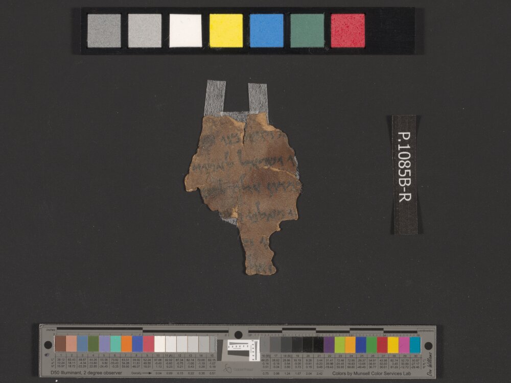4QNumbers^b (4QNum^b) (Scan 1) showing Numbers 31:3 from Late 1st Century BC – Early 1st Century AD found in Qumran, Cave 4, currently housed at Rockefeller Museum, Jerusalem