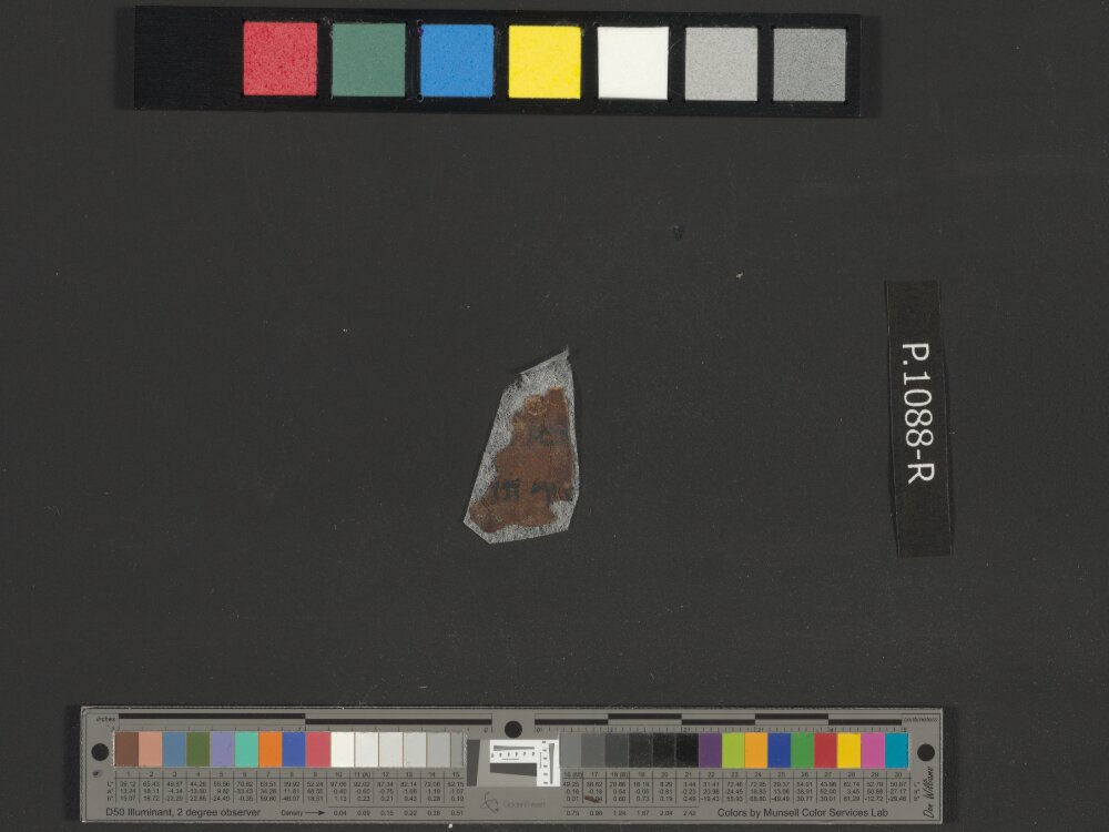 4QNumbers^b (4QNum^b) (Scan 2) showing Numbers 31:3 from Late 1st Century BC – Early 1st Century AD found in Qumran, Cave 4, currently housed at Rockefeller Museum, Jerusalem
