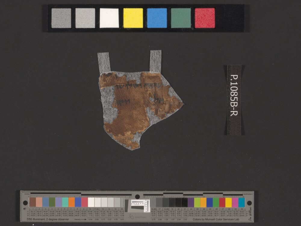 4QNumbers^b (4QNum^b) (Scan 1) showing Numbers 31:32 from Late 1st Century BC – Early 1st Century AD found in Qumran, Cave 4, currently housed at Rockefeller Museum, Jerusalem