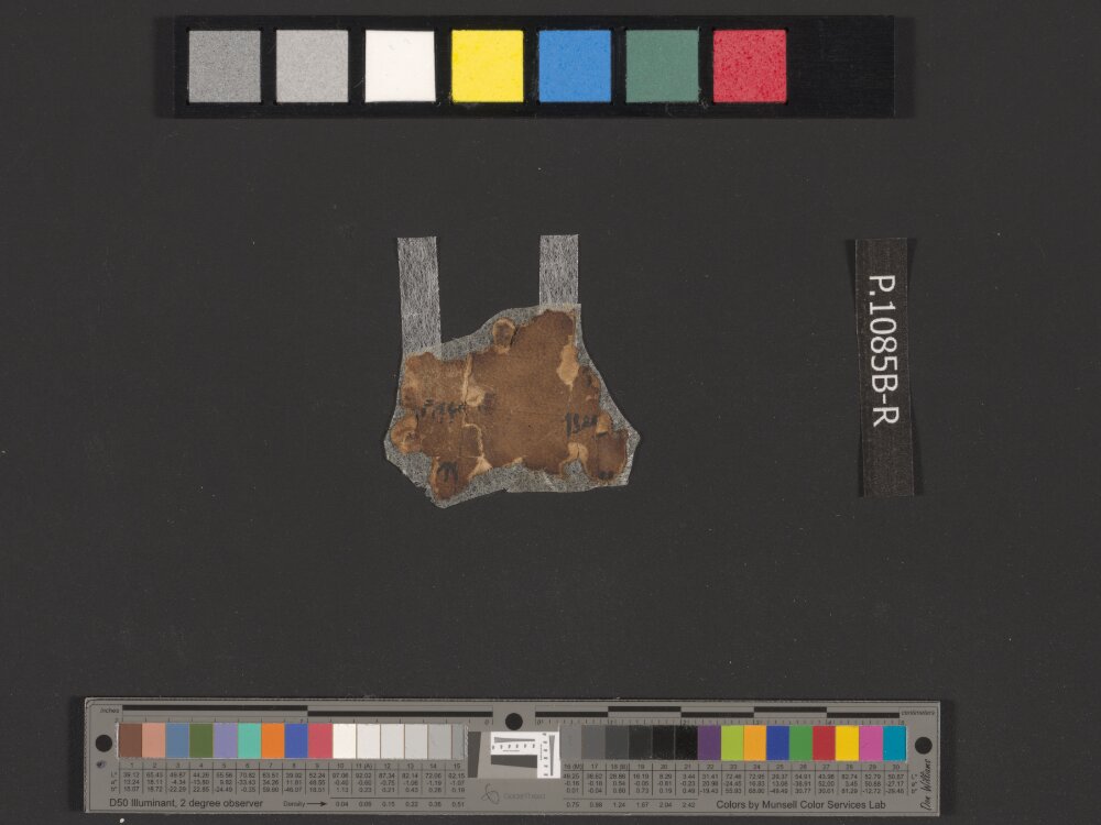4QNumbers^b (4QNum^b) (Scan 2) showing Numbers 31:32 from Late 1st Century BC – Early 1st Century AD found in Qumran, Cave 4, currently housed at Rockefeller Museum, Jerusalem
