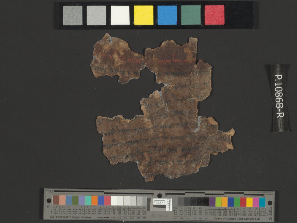 4QNumbers^b (4QNum^b) (Scan 3) showing Numbers 32:1 from Late 1st Century BC – Early 1st Century AD found in Qumran, Cave 4, currently housed at Rockefeller Museum, Jerusalem