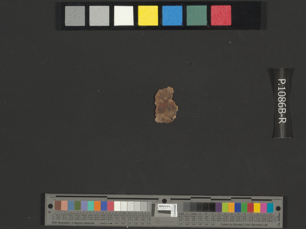 4QNumbers^b (4QNum^b) (Scan 5) showing Numbers 32:1 from Late 1st Century BC – Early 1st Century AD found in Qumran, Cave 4, currently housed at Rockefeller Museum, Jerusalem