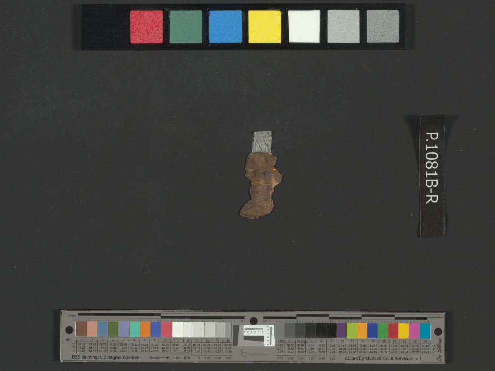 4QNumbers^b (4QNum^b) (Scan 7) showing Numbers 32:1 from Late 1st Century BC – Early 1st Century AD found in Qumran, Cave 4, currently housed at Rockefeller Museum, Jerusalem