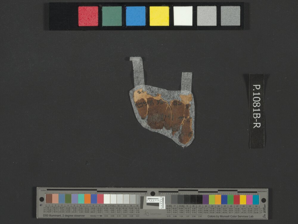 4QNumbers^b (4QNum^b) (Scan 2) showing Numbers 32:21 from Late 1st Century BC – Early 1st Century AD found in Qumran, Cave 4, currently housed at Rockefeller Museum, Jerusalem