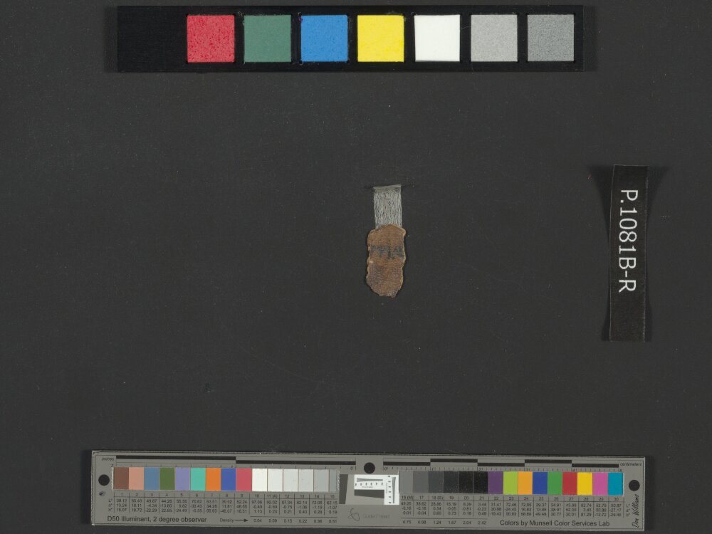 4QNumbers^b (4QNum^b) (Scan 5) showing Numbers 32:21 from Late 1st Century BC – Early 1st Century AD found in Qumran, Cave 4, currently housed at Rockefeller Museum, Jerusalem