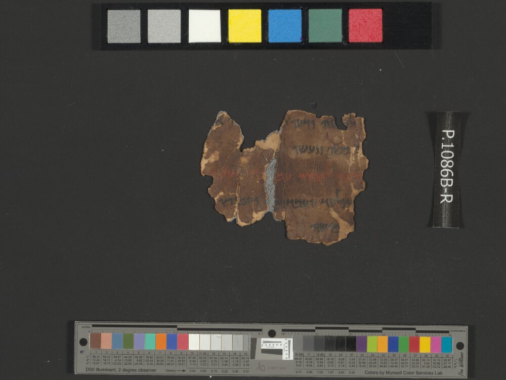4QNumbers^b (4QNum^b) (Scan 7) showing Numbers 32:21 from Late 1st Century BC – Early 1st Century AD found in Qumran, Cave 4, currently housed at Rockefeller Museum, Jerusalem