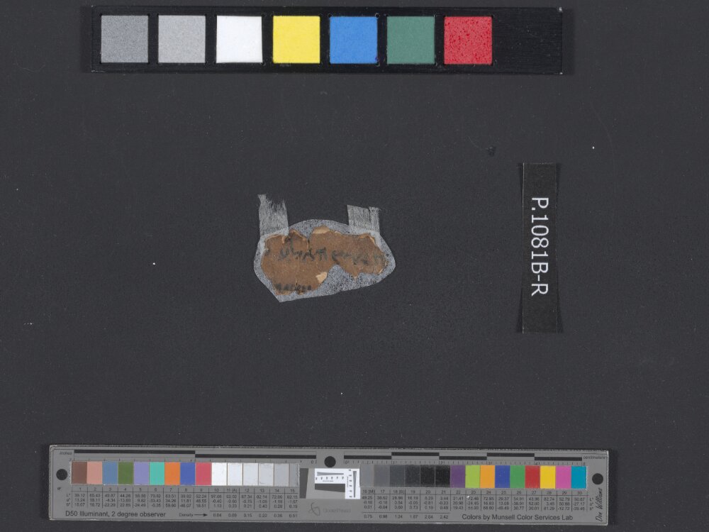 4QNumbers^b (4QNum^b) (Scan 8) showing Numbers 32:21 from Late 1st Century BC – Early 1st Century AD found in Qumran, Cave 4, currently housed at Rockefeller Museum, Jerusalem