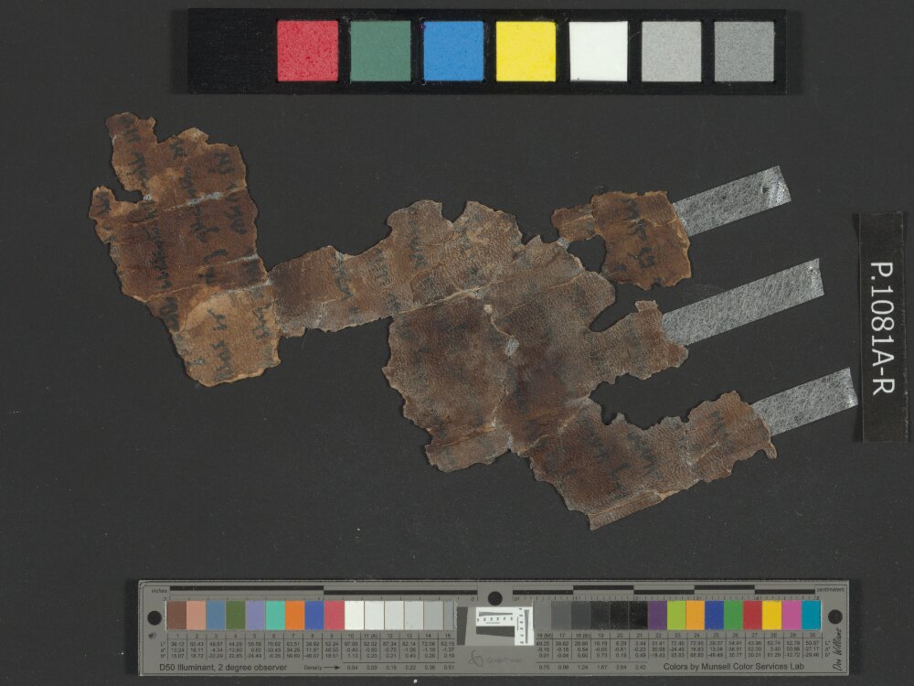 4QNumbers^b (4QNum^b) (Scan 1) showing Numbers 16:2 from Late 1st Century BC – Early 1st Century AD found in Qumran, Cave 4, currently housed at Rockefeller Museum, Jerusalem