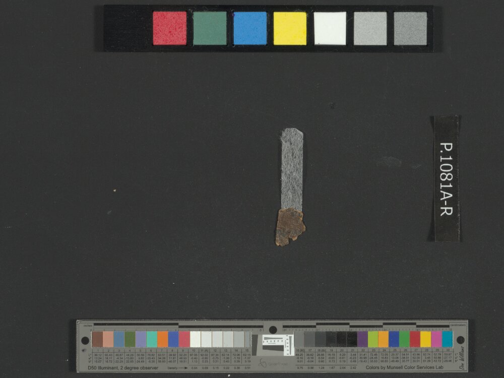 4QNumbers^b (4QNum^b) (Scan 2) showing Numbers 16:2 from Late 1st Century BC – Early 1st Century AD found in Qumran, Cave 4, currently housed at Rockefeller Museum, Jerusalem