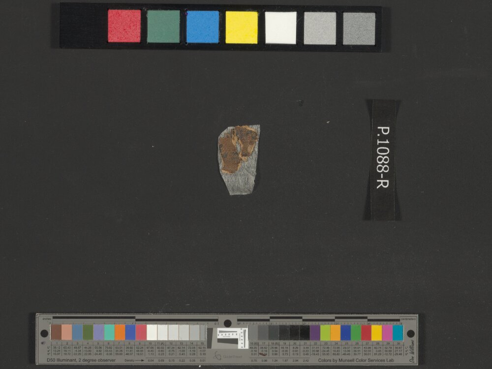 4QNumbers^b (4QNum^b) (Scan 3) showing Numbers 16:2 from Late 1st Century BC – Early 1st Century AD found in Qumran, Cave 4, currently housed at Rockefeller Museum, Jerusalem