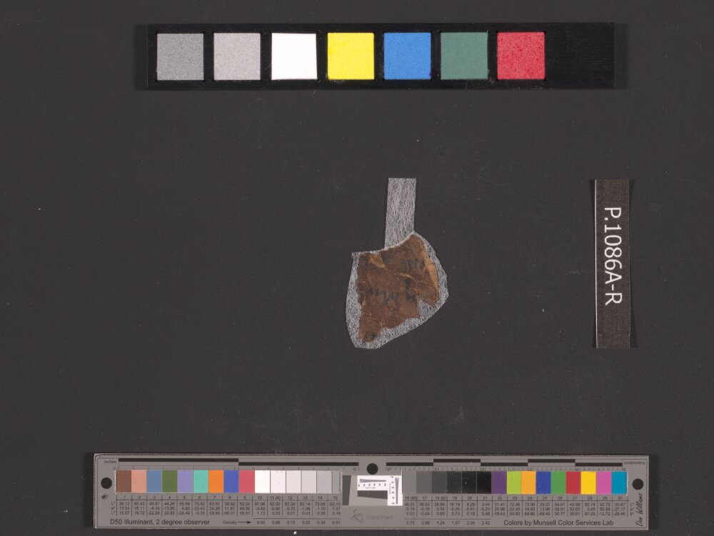 4QNumbers^b (4QNum^b) (Scan 1) showing Numbers 33:48 from Late 1st Century BC – Early 1st Century AD found in Qumran, Cave 4, currently housed at Rockefeller Museum, Jerusalem