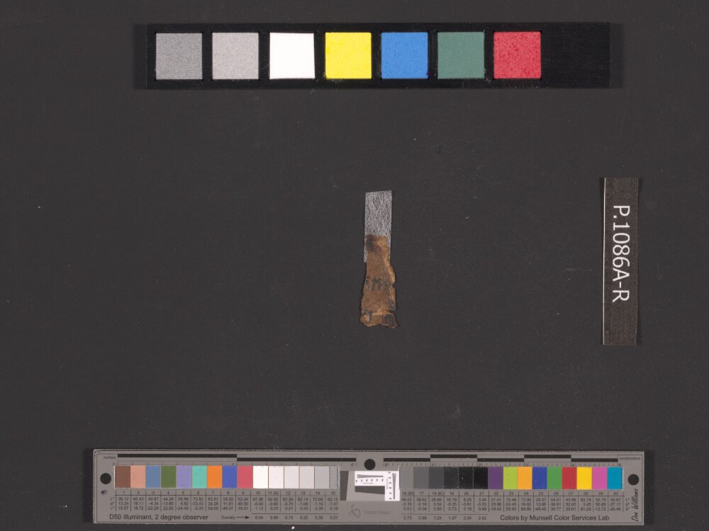 4QNumbers^b (4QNum^b) (Scan 2) showing Numbers 33:48 from Late 1st Century BC – Early 1st Century AD found in Qumran, Cave 4, currently housed at Rockefeller Museum, Jerusalem