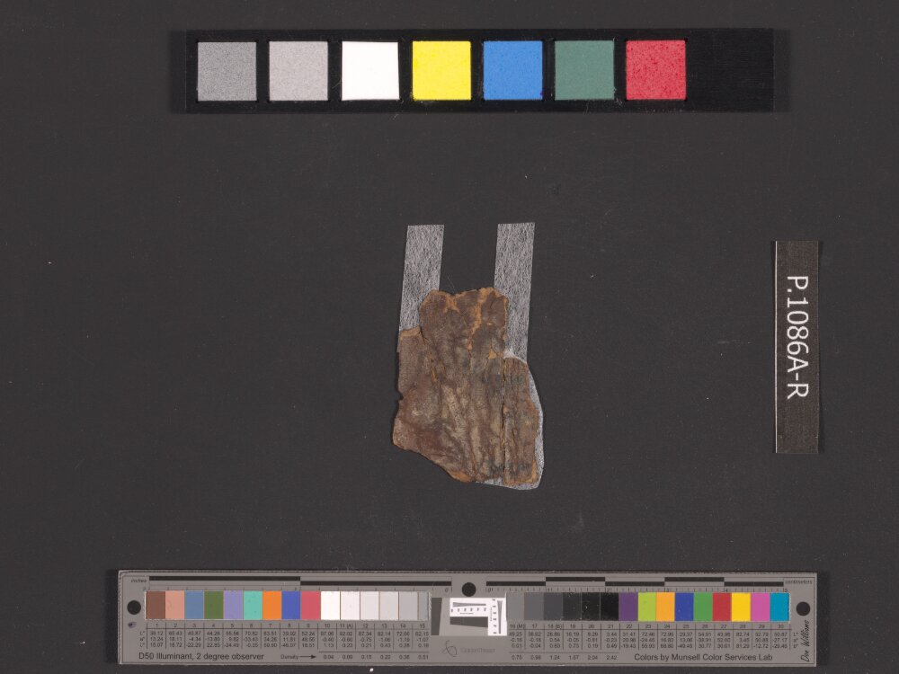 4QNumbers^b (4QNum^b) (Scan 3) showing Numbers 33:48 from Late 1st Century BC – Early 1st Century AD found in Qumran, Cave 4, currently housed at Rockefeller Museum, Jerusalem