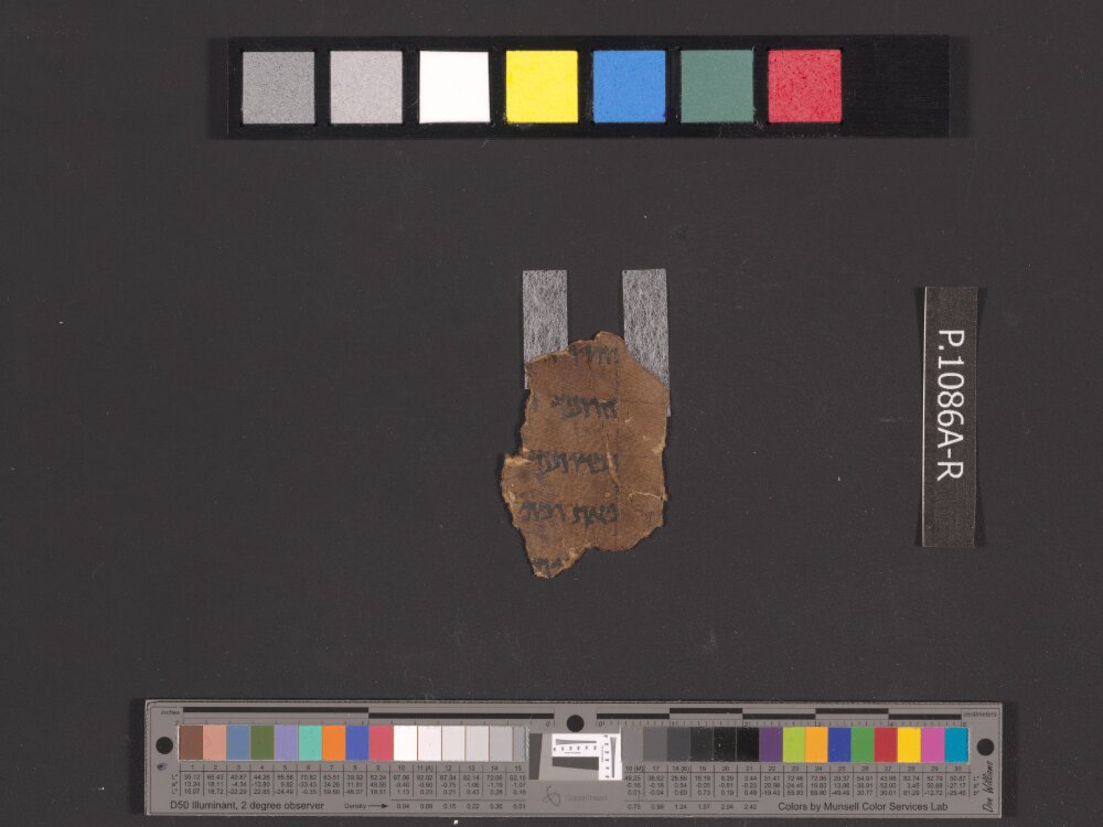 4QNumbers^b (4QNum^b) (Scan 1) showing Numbers 35:3 from Late 1st Century BC – Early 1st Century AD found in Qumran, Cave 4, currently housed at Rockefeller Museum, Jerusalem
