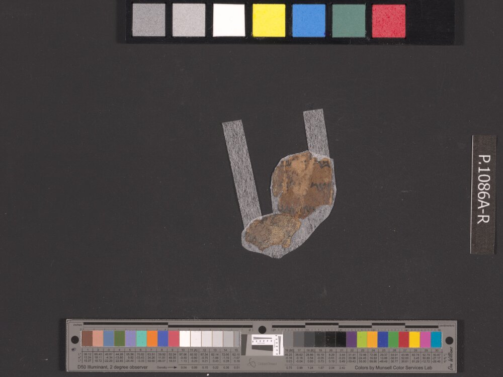 4QNumbers^b (4QNum^b) (Scan 2) showing Numbers 35:3 from Late 1st Century BC – Early 1st Century AD found in Qumran, Cave 4, currently housed at Rockefeller Museum, Jerusalem