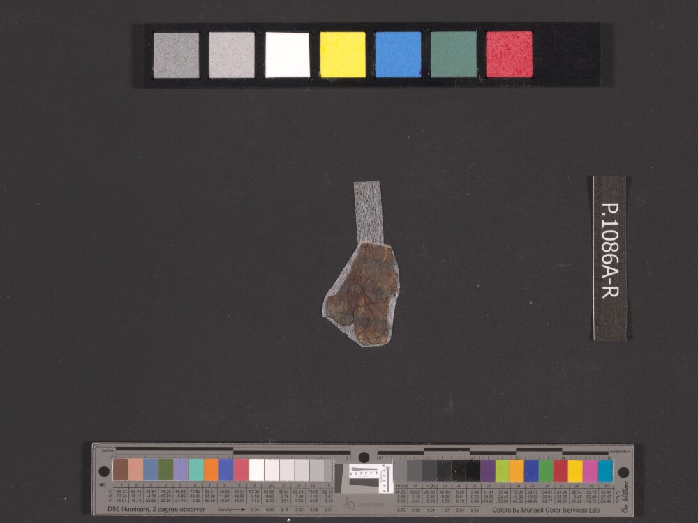4QNumbers^b (4QNum^b) (Scan 4) showing Numbers 35:3 from Late 1st Century BC – Early 1st Century AD found in Qumran, Cave 4, currently housed at Rockefeller Museum, Jerusalem
