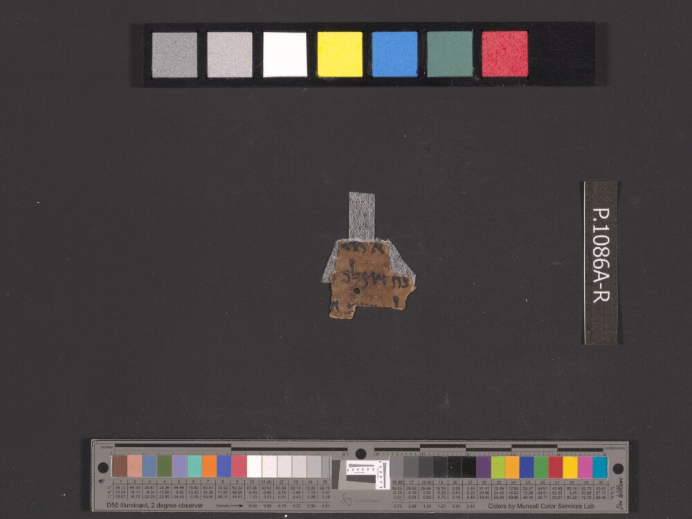 4QNumbers^b (4QNum^b) (Scan 1) showing Numbers 35:15 from Late 1st Century BC – Early 1st Century AD found in Qumran, Cave 4, currently housed at Rockefeller Museum, Jerusalem