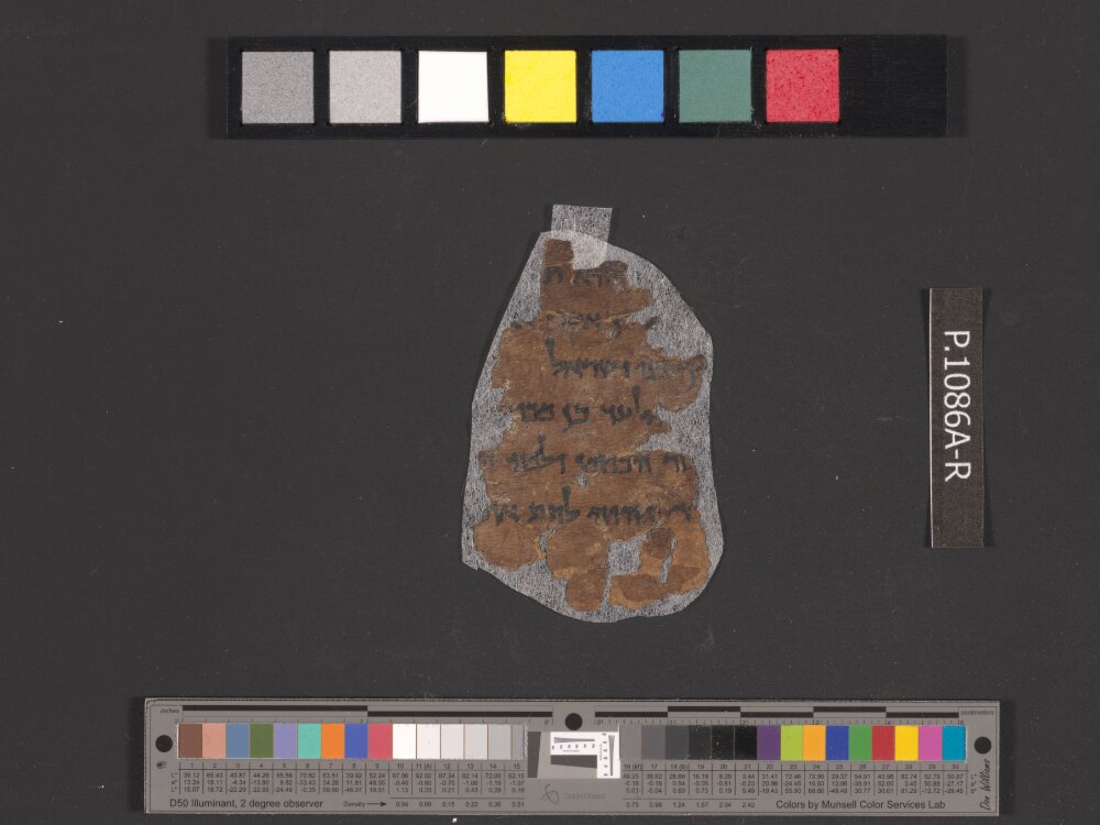 4QNumbers^b (4QNum^b) (Scan 2) showing Numbers 35:15 from Late 1st Century BC – Early 1st Century AD found in Qumran, Cave 4, currently housed at Rockefeller Museum, Jerusalem