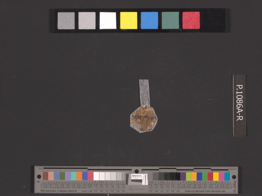4QNumbers^b (4QNum^b) (Scan 3) showing Numbers 35:15 from Late 1st Century BC – Early 1st Century AD found in Qumran, Cave 4, currently housed at Rockefeller Museum, Jerusalem