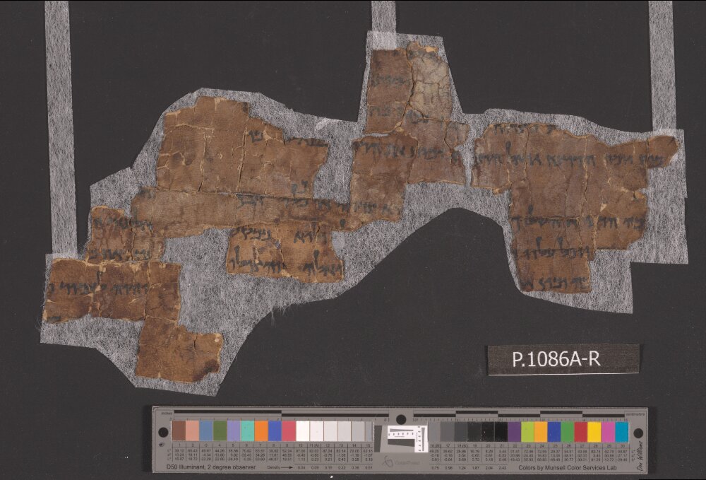 4QNumbers^b (4QNum^b) showing Numbers 36:7 from Late 1st Century BC – Early 1st Century AD found in Qumran, Cave 4, currently housed at Rockefeller Museum, Jerusalem