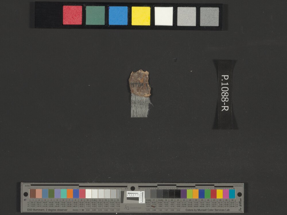 4QNumbers^b (4QNum^b) showing Numbers 5:21 from Late 1st Century BC – Early 1st Century AD found in Qumran, Cave 4, currently housed at Rockefeller Museum, Jerusalem