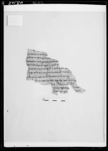 4QDeuteronomy a (4QDeutᵃ) (Scan 5) showing Deuteronomy 24:2 from Early to Mid-2nd Century BC found in Qumran, Cave 4, currently housed at Rockefeller Museum, Jerusalem