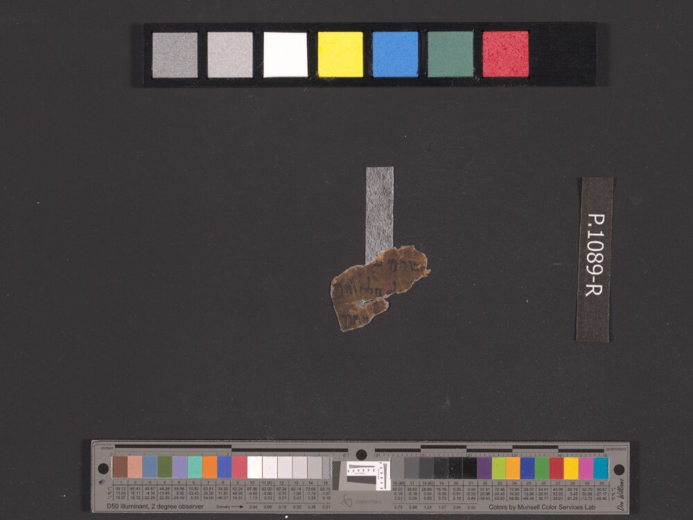 4Q Deuteronomy b showing Deuteronomy 30:3 from Mid-2nd Century BC – Early 1st Century BC found in Qumran, Cave 4, currently housed at Rockefeller Museum, Jerusalem