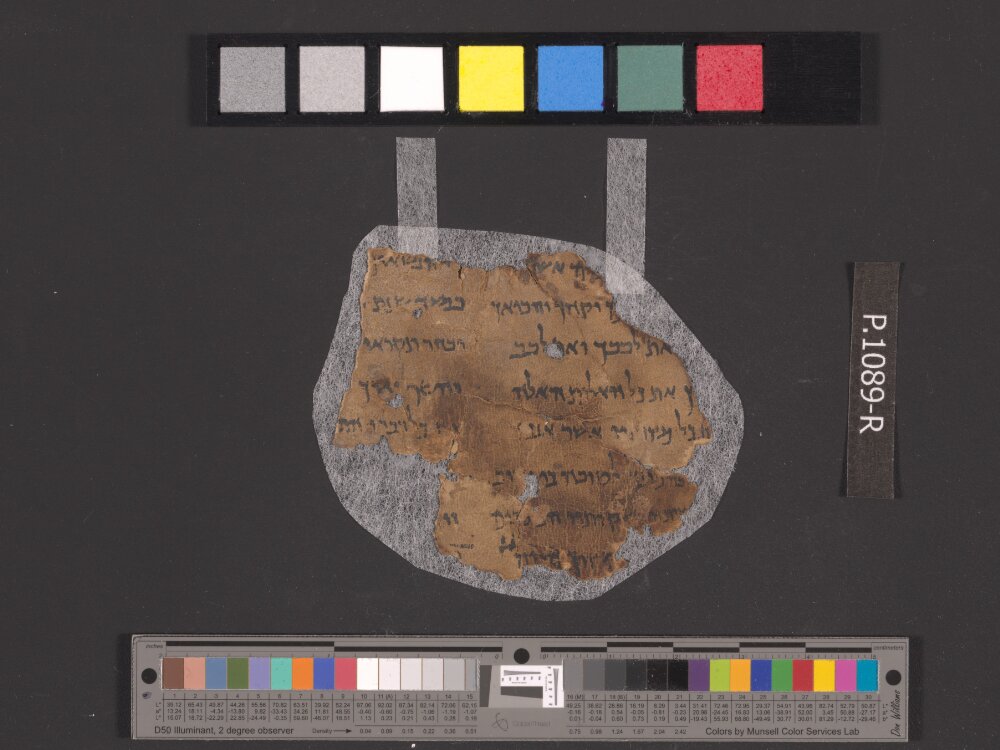 4Q Deuteronomy b showing Deuteronomy 31:13 from Mid-2nd Century BC – Early 1st Century BC found in Qumran, Cave 4, currently housed at Rockefeller Museum, Jerusalem
