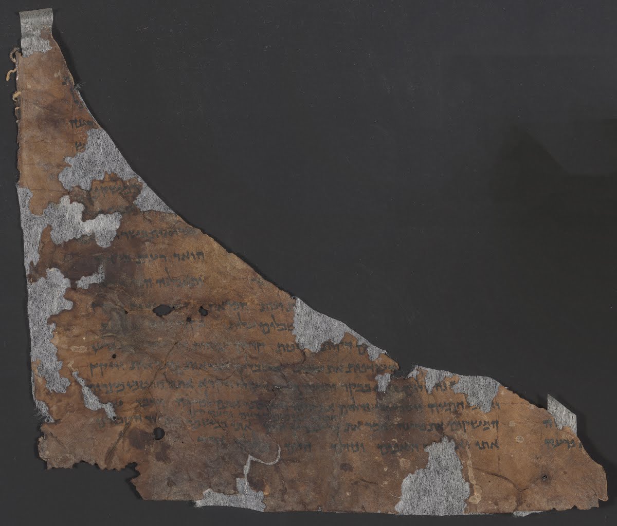4QGenesis c showing Genesis 40:21 from Late 1st Century BC – Mid-1st Century AD found in Qumran, Cave 4, currently housed at Rockefeller Museum, Jerusalem