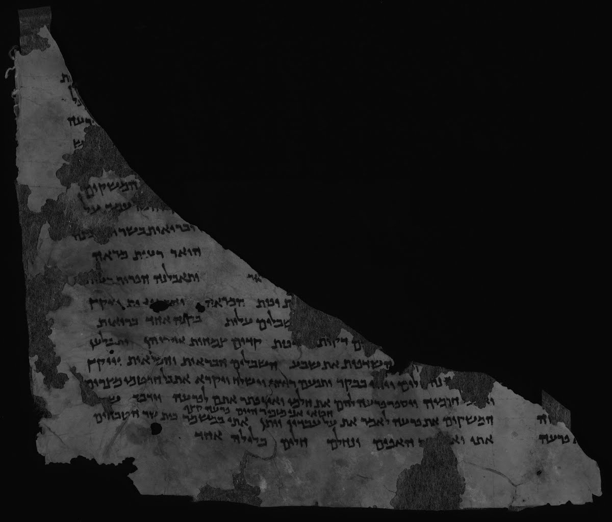 4QGenesis c (Scan 1) showing Genesis 41:2 from Late 1st Century BC – Mid-1st Century AD found in Qumran, Cave 4, currently housed at Rockefeller Museum, Jerusalem
