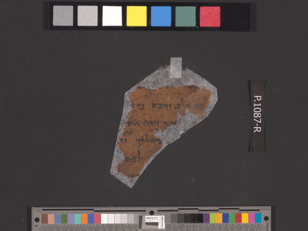 4QDeuteronomy c (4QDeutᶜ) (Scan 1) showing Deuteronomy 11:2 from Mid- to Late 2nd Century BC found in Qumran, Cave 4, currently housed at Rockefeller Museum, Jerusalem