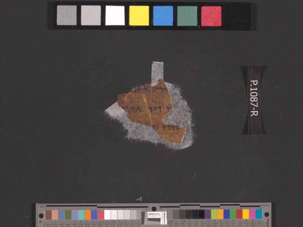 4QDeuteronomy c (4QDeutᶜ) (Scan 3) showing Deuteronomy 11:2 from Mid- to Late 2nd Century BC found in Qumran, Cave 4, currently housed at Rockefeller Museum, Jerusalem
