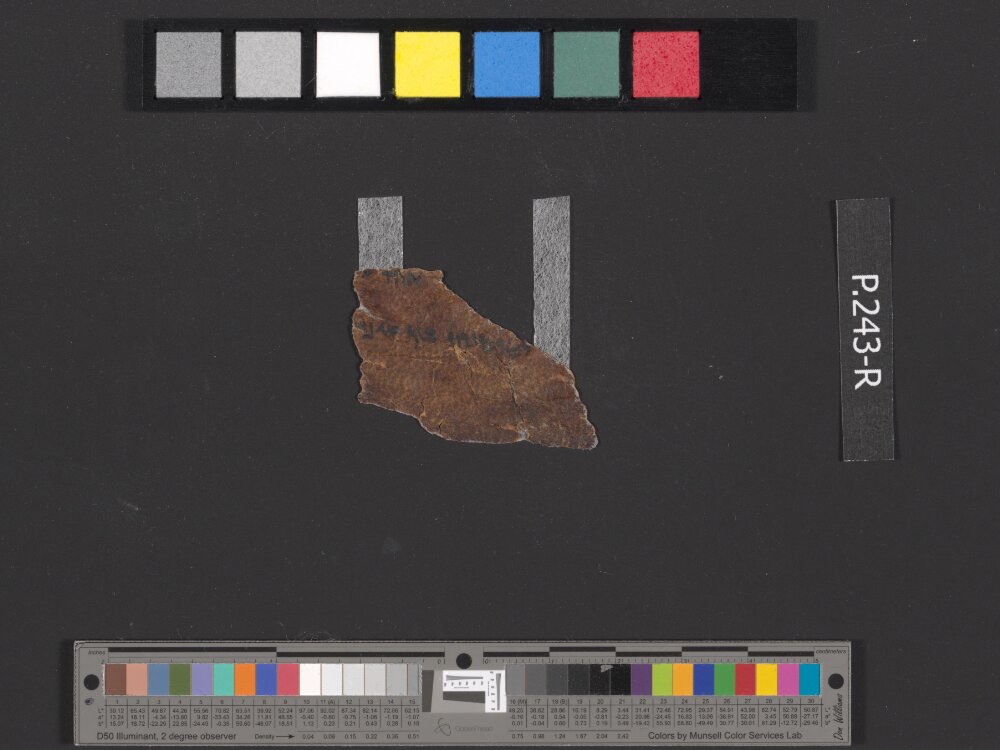 4QDeuteronomy c (4QDeutᶜ) showing Deuteronomy 11:13 from Mid- to Late 2nd Century BC found in Qumran, Cave 4, currently housed at Rockefeller Museum, Jerusalem