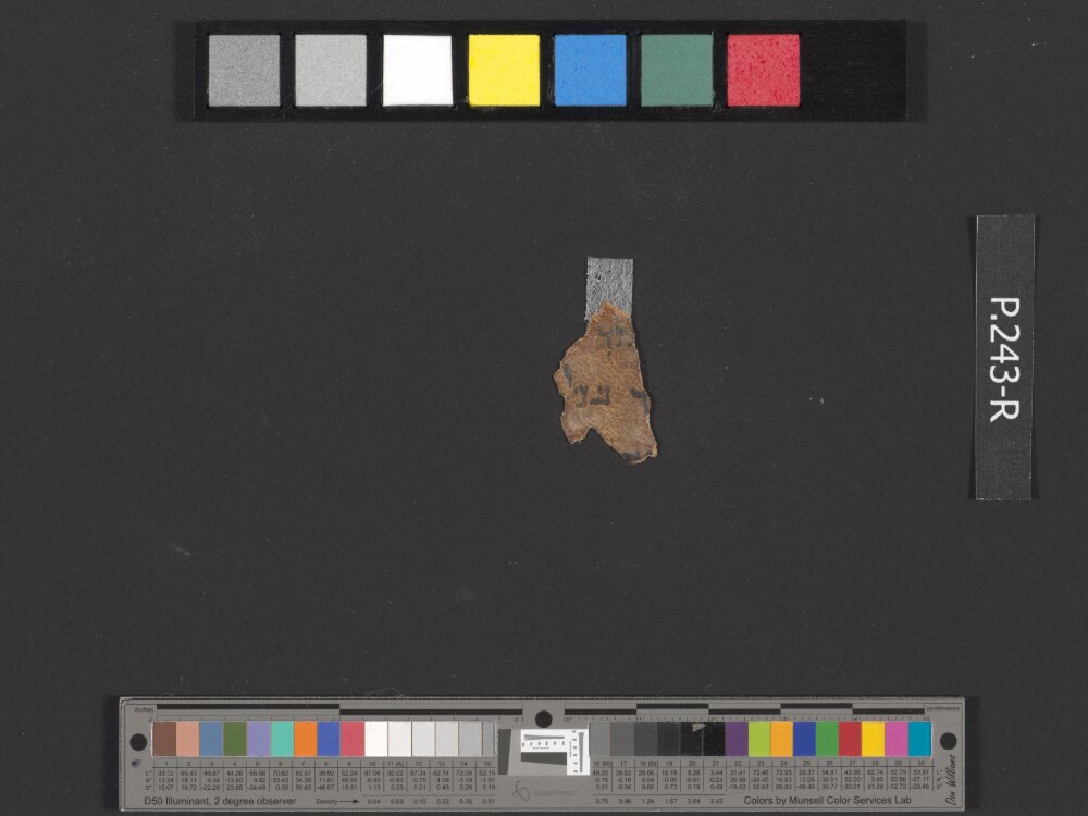 4QDeuteronomy c (4QDeutᶜ) (Scan 1) showing Deuteronomy 11:19 from Mid- to Late 2nd Century BC found in Qumran, Cave 4, currently housed at Rockefeller Museum, Jerusalem