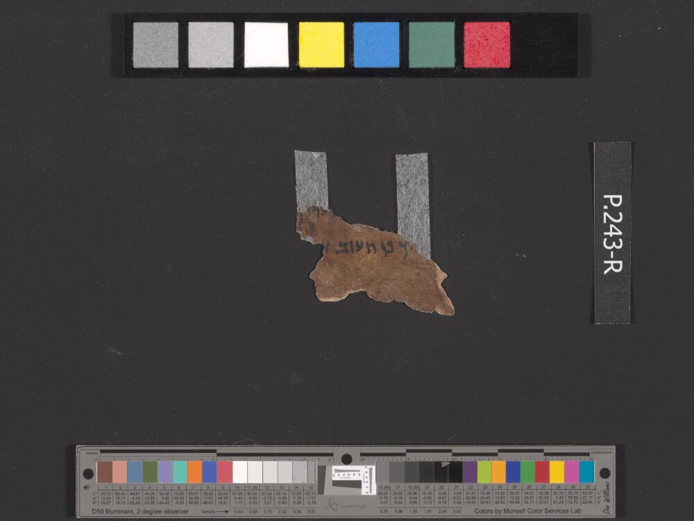 4QDeuteronomy c (4QDeutᶜ) (Scan 2) showing Deuteronomy 11:19 from Mid- to Late 2nd Century BC found in Qumran, Cave 4, currently housed at Rockefeller Museum, Jerusalem