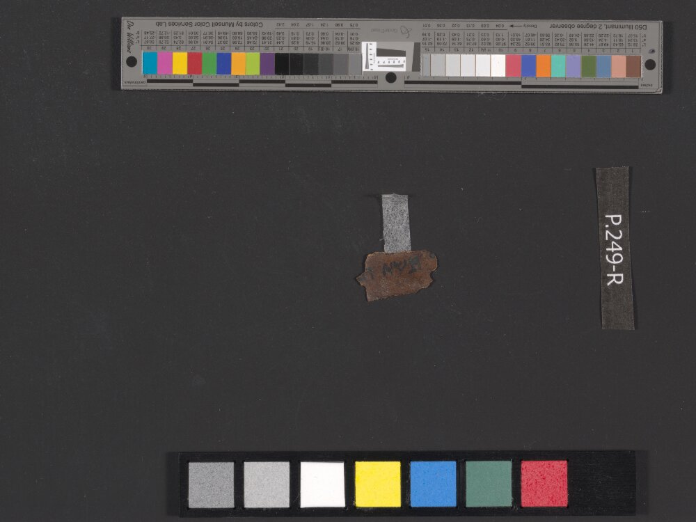 4QDeuteronomy c (4QDeutᶜ) (Scan 2) showing Deuteronomy 12:18 from Mid- to Late 2nd Century BC found in Qumran, Cave 4, currently housed at Rockefeller Museum, Jerusalem