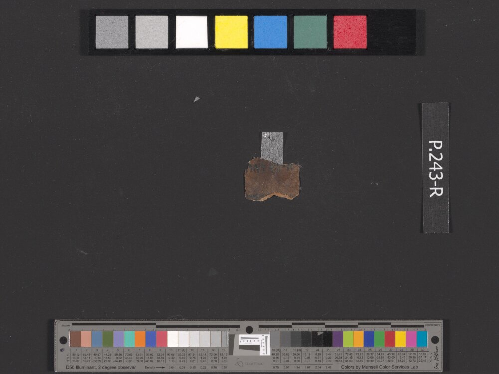 4QDeuteronomy c (4QDeutᶜ) showing Deuteronomy 12:30 from Mid- to Late 2nd Century BC found in Qumran, Cave 4, currently housed at Rockefeller Museum, Jerusalem