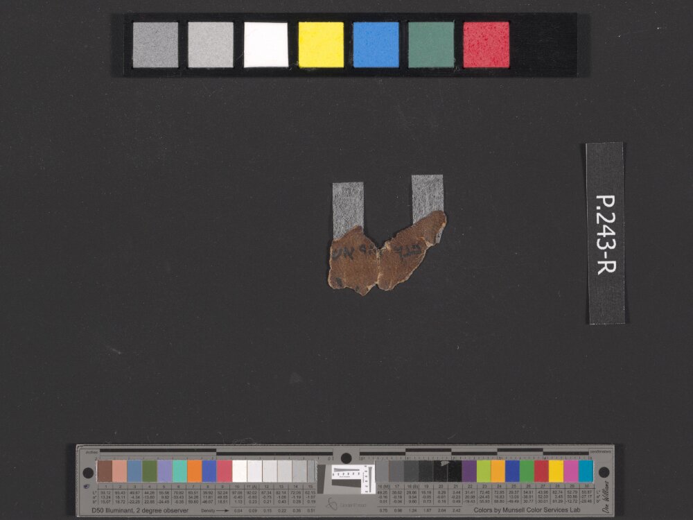 4QDeuteronomy c (4QDeutᶜ) (Scan 1) showing Deuteronomy 13:6 from Mid- to Late 2nd Century BC found in Qumran, Cave 4, currently housed at Rockefeller Museum, Jerusalem